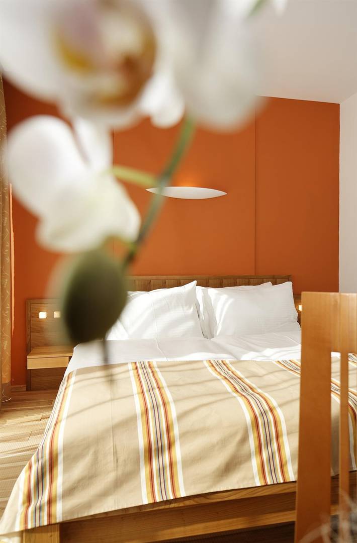 Standard-Doppelzimmer ohne Frühstück in Südoststeiermark, Feldbach