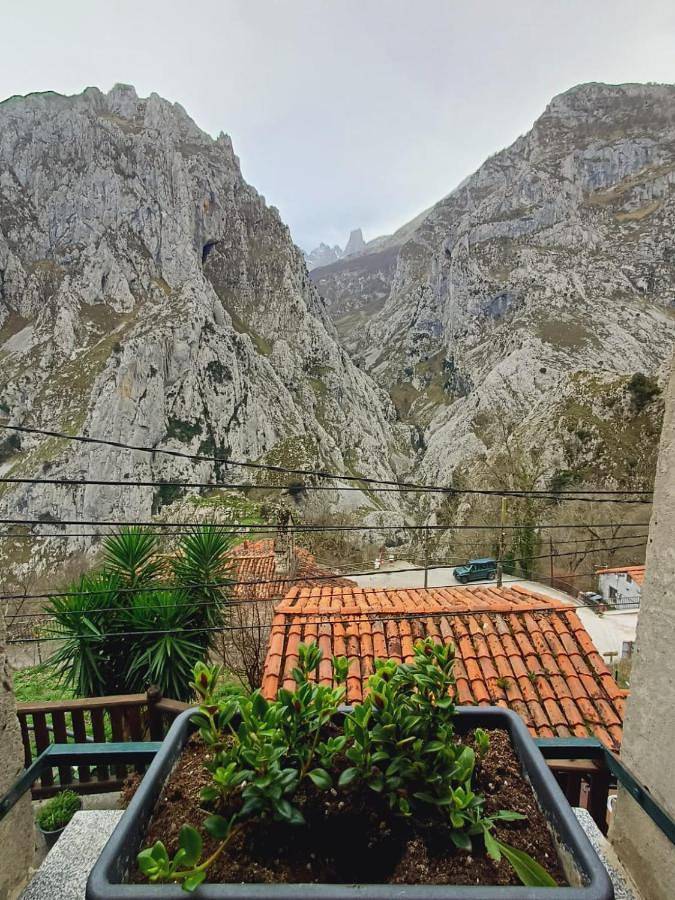 Apartamento entero, El Portal del Abuelo in Cabrales, Cordillera Cantábrica