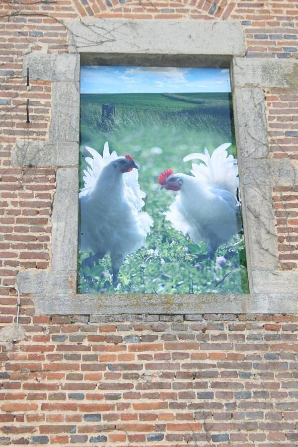 Hôtel pour 2 personnes, avec terrasse à Saint-Germain-du-Bois - 4