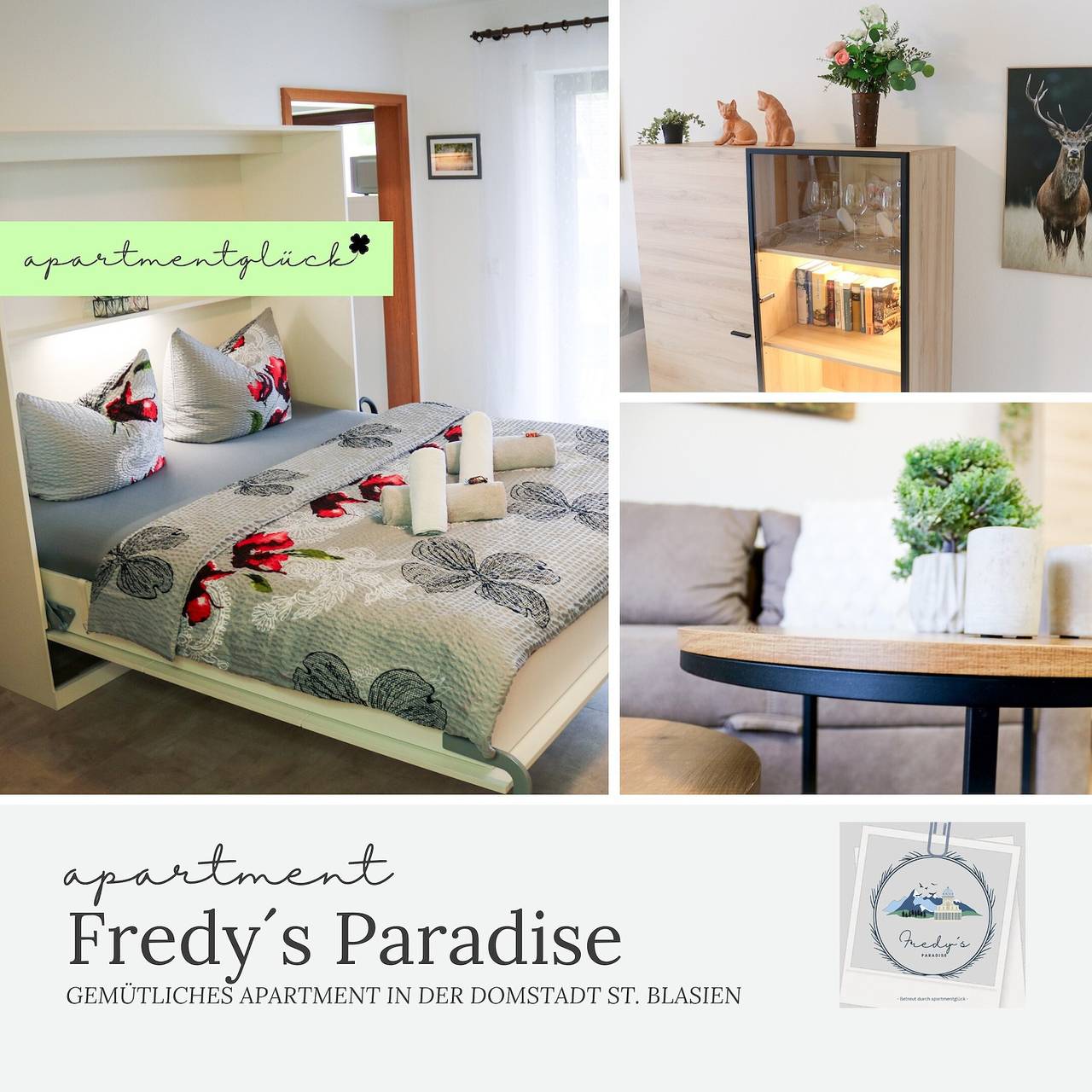 Ganzes Studio, Fredy's Paradies in der Dom-Stadt St. Blasien in St. Blasien, Südschwarzwald