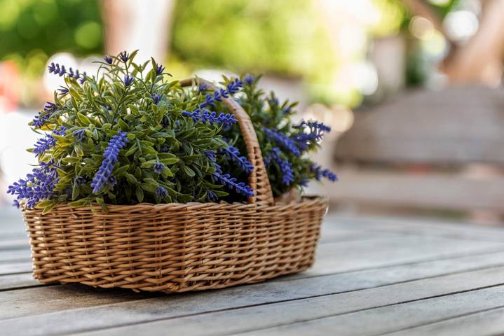 Finca für 6 Personen, mit Garten, kinderfreundlich in Alcúdia - 4