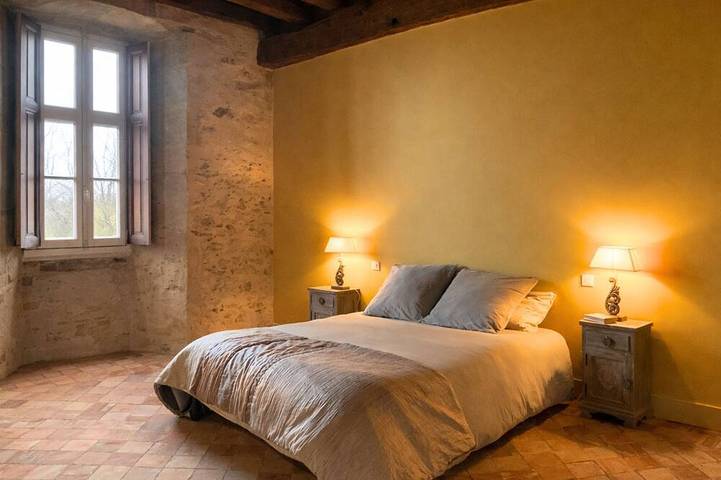 Château pour 10 personnes, avec jardin dans les Deux-Sèvres - 4