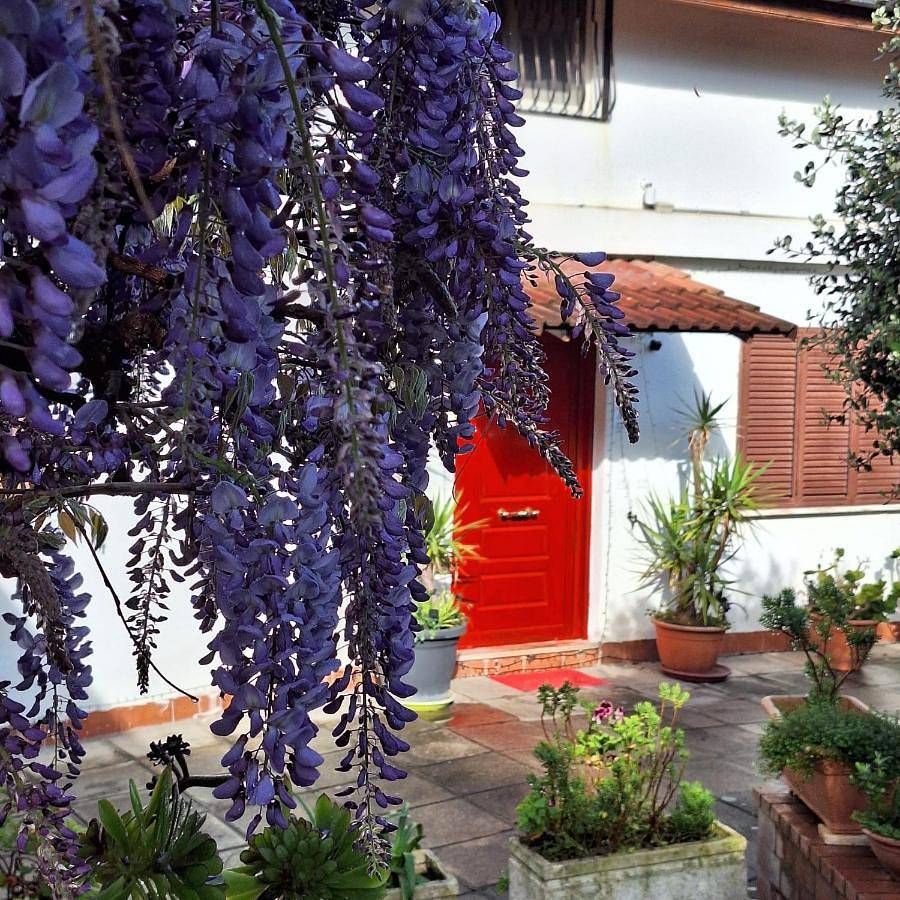 Giallo Limone B&B in Salerno, Costa tirrenica Campania