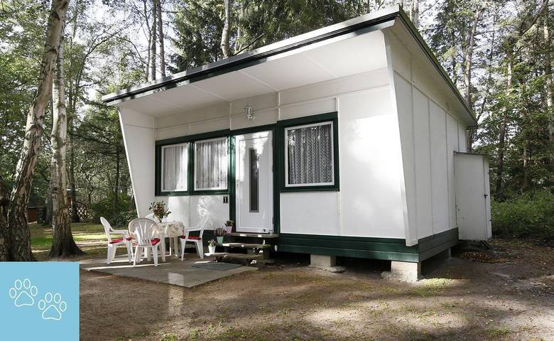 Camping für 4 Personen, mit Terrasse an der Ostsee - 4