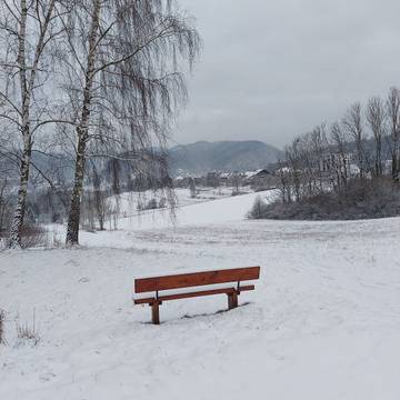 Ferienwohnung für 4 Personen in Bad Lauterberg, Westharz, Bild 2