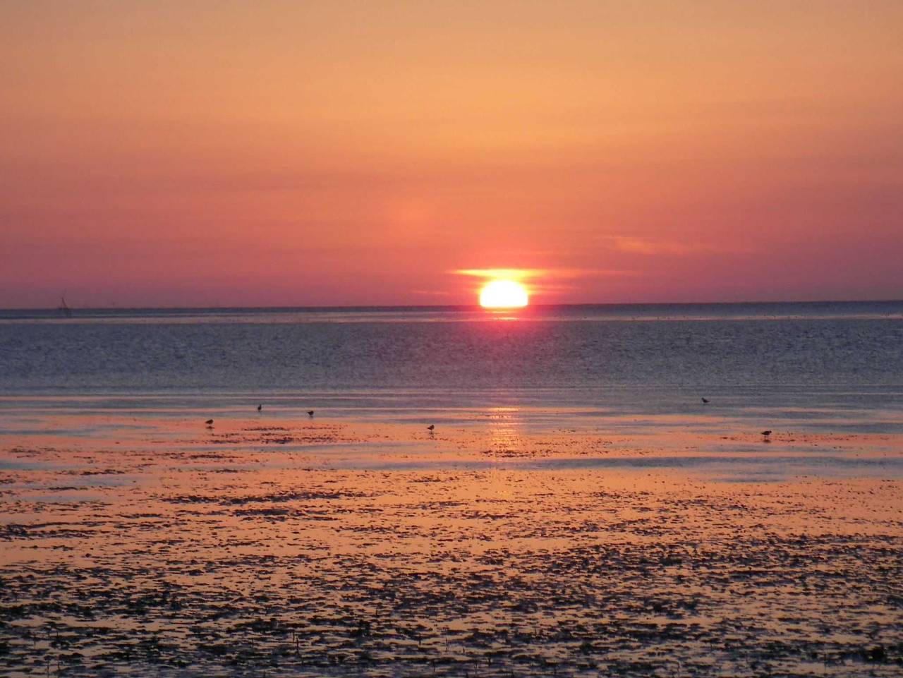Ganze Ferienwohnung, Ferienwohnung Fofftein in Friedrichskoog-Spitze, Friedrichskoog