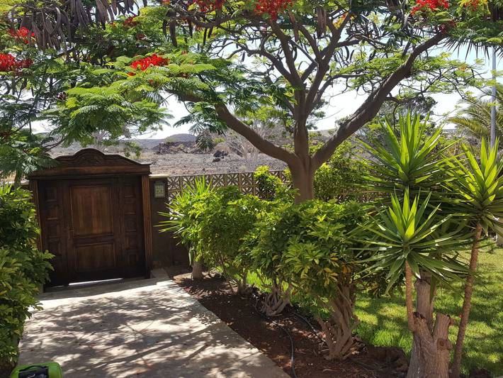 "Floratere" mit Terrasse in Arona , Tenerife Sur