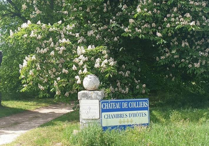 Location de vacances pour 2 personnes, avec jardin à Muides-sur-Loire - 3