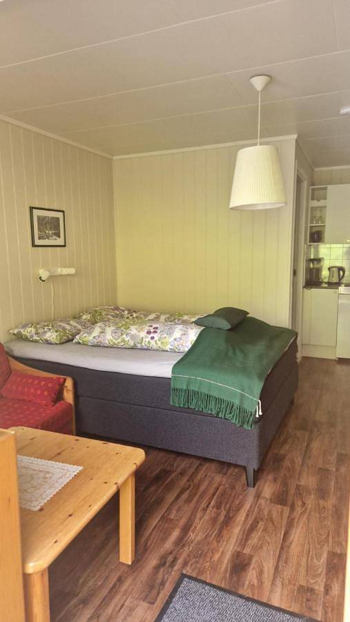 Gîte pour 2 personnes, avec terrasse dans Eidfjord - 2