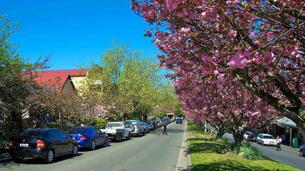 Holiday Home for 12 People in Leura, Blue Mountains, Photo 1