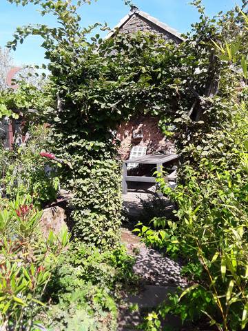 Studio für 2 Personen, mit Garten in Eifel (Rheinland-Pfalz)