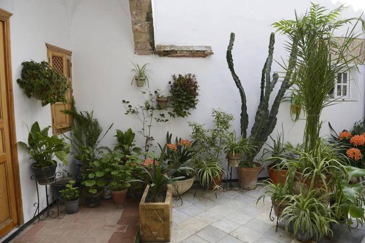 Casa de huéspuedes para 5 personas, con balcón en Sierra de Cádiz - 4