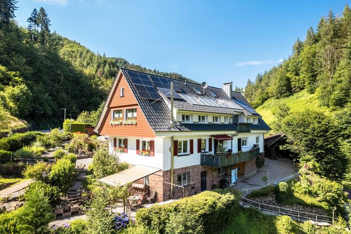 Ferienwohnung für 4 Personen, mit Garten in Nationalpark Schwarzwald - 2