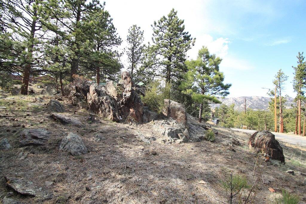 2 King Masters, tolle Aussicht, zu Fuß in die Stadt, Wildlife, Kamin in Estes Park, Larimer County