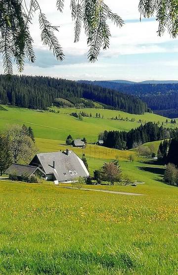Ferienwohnung für 2 Personen in Suedlicher Schwarzwald, Titisee-Neustadt, Bild 1
