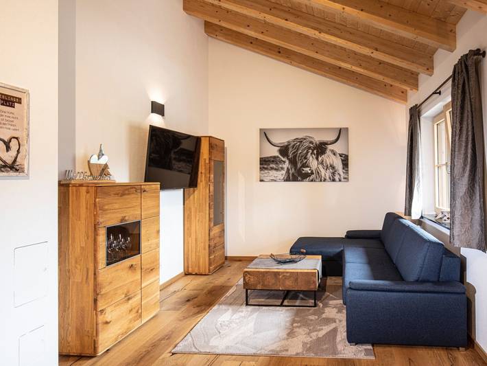 Ferienwohnung für 6 Personen, mit Garten, mit Haustier in Rußbach am Paß Gschütt - 3