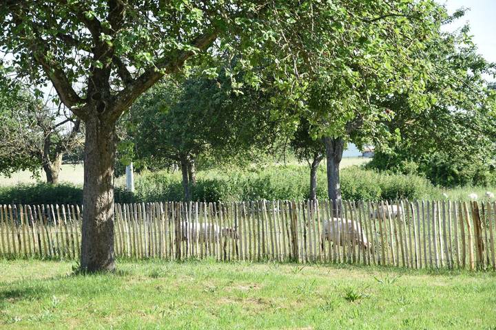 Gîte pour 4 personnes, avec jardin à Céaux - 2