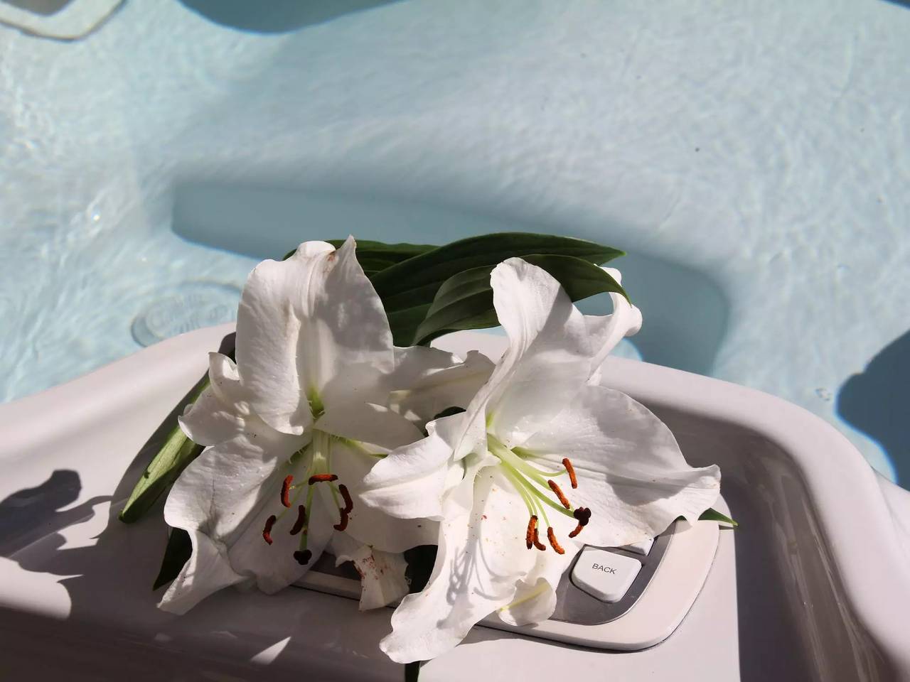 Casa 8 Personas in Brignogan-Plage, Región de Brest