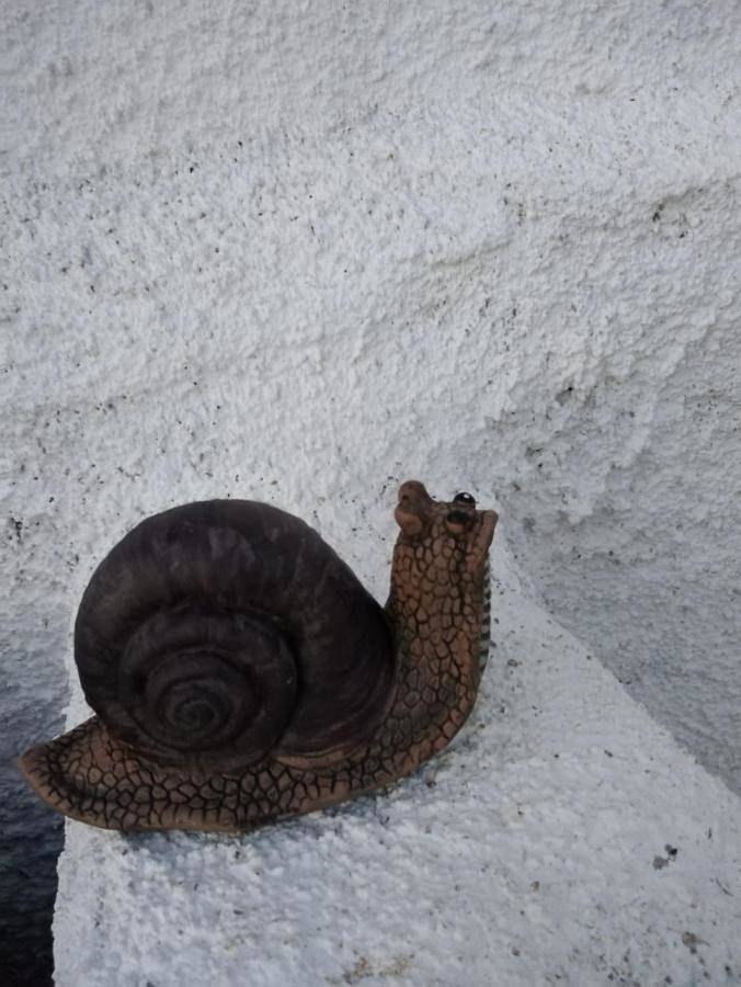 Location de vacances pour 5 personnes, avec vue et bassin pour enfant ainsi que jardin et piscine à Reguengos de Monsaraz - 3