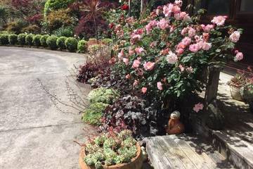 Cottage for 2 People in Taranaki, New Zealand, Photo 1