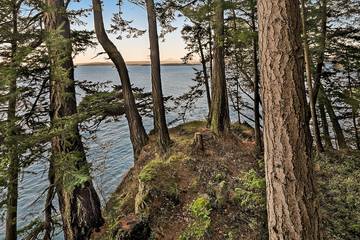 Log Cabin for 6 Guests in Orcas Island, San Juan Islands, Picture 2