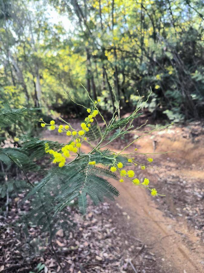 Chambre d’hôte pour 2 personnes, avec vue ainsi que jardin et piscine à Fayence - 2