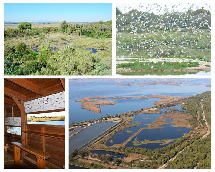 Maison d’hôte pour 3 personnes, avec terrasse et jacuzzi à Valence (Espagne) - 4