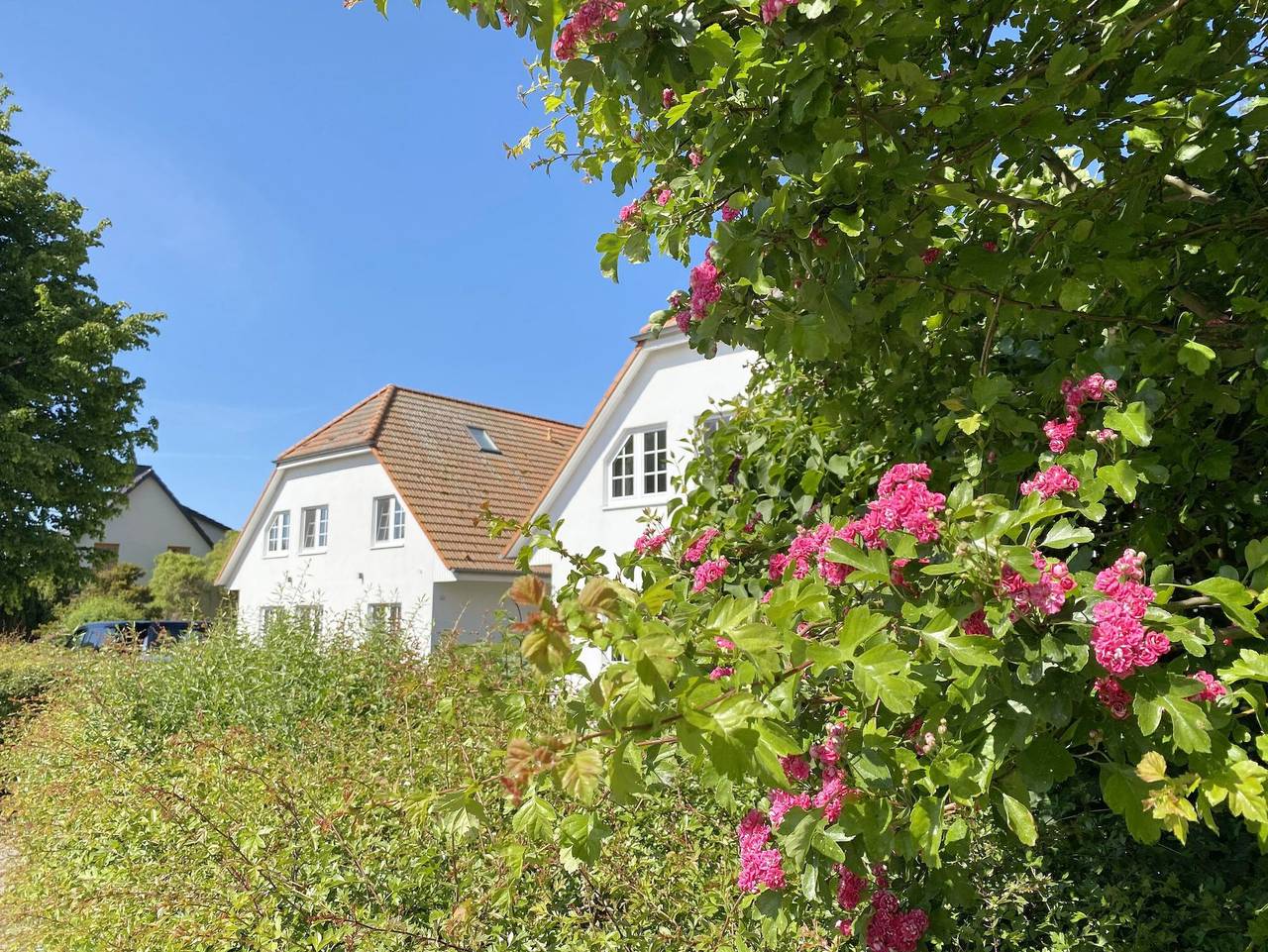 Ganze Ferienwohnung, F: Lotsenberg Apartments mit 8 Ferienwohnungen mit Sauna in Thiessow, Mönchgut