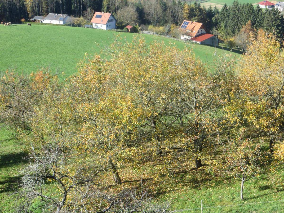Ganze Wohnung, Ferienwohnungen Bauernhof Schilcher in Wolfsberg, Lavanttaler Alpen