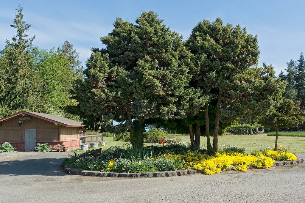 Park Place ist ein sauberes und komfortables Haus mit eigenem Weg zum Strand in Clallam County