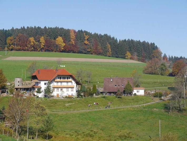 Location de vacances pour 3 personnes, avec Balcon et Jardin à Biederbach
