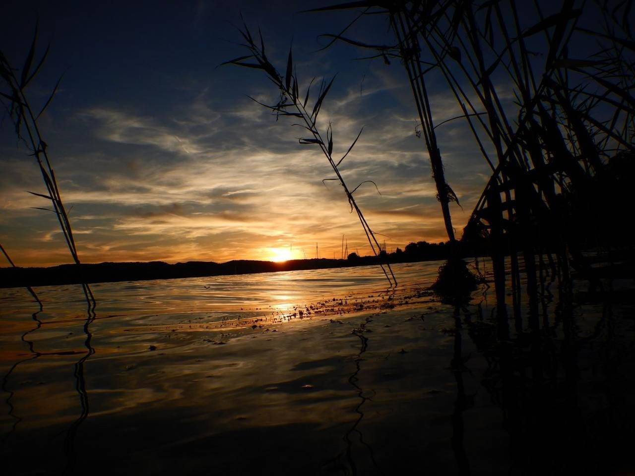In Stäfa in Stäfa, Zurych (kanton)