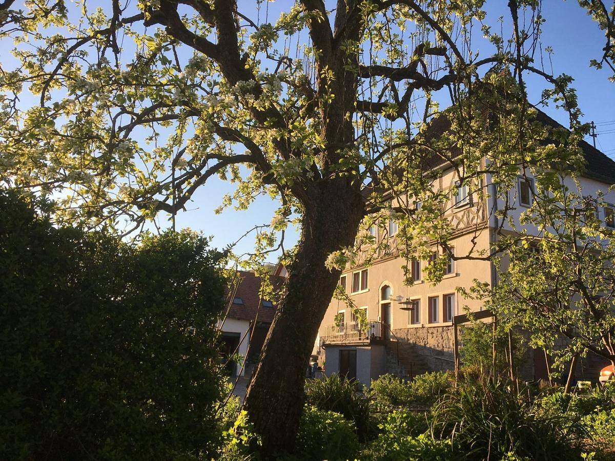 Beim Schloß Michel - Ferienwohnung