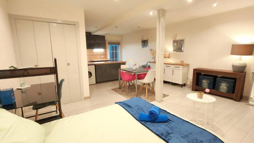 Gîte pour 4 personnes, avec terrasse, animaux acceptés dans Cinema Le Melies Pau - 3