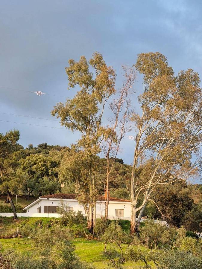 Casa rural para 13 personas, con Terraza además de Piscina y Vistas en Constantina