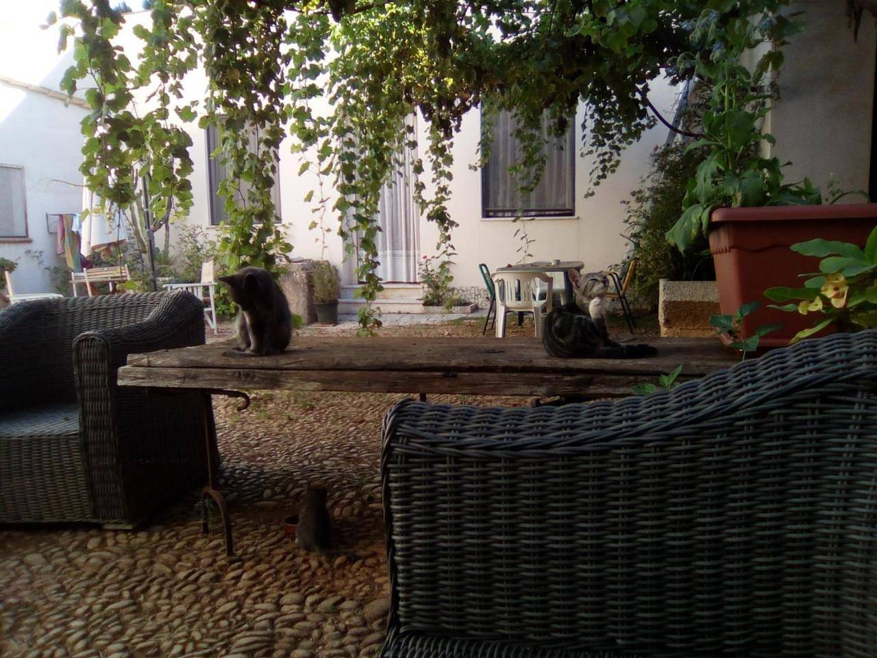 Appartamento intero, Agriturismo Castelluzzo Organic Farm in Castelluzzo, Custonaci