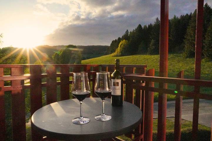 Ferienhaus für 5 Personen, mit Balkon und Pool sowie Sauna in Schluchsee