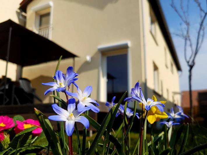 Ferienhaus für 5 Personen, mit Garten - 1