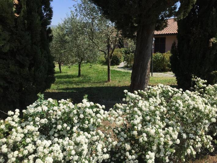 Villa pour 10 personnes, avec piscine ainsi que jacuzzi et jardin, adapté aux familles à Vinci - 3