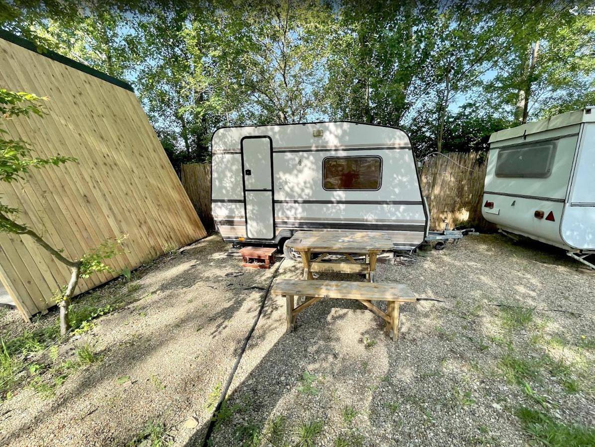 Camping Oaza in Okręg południowobanacki