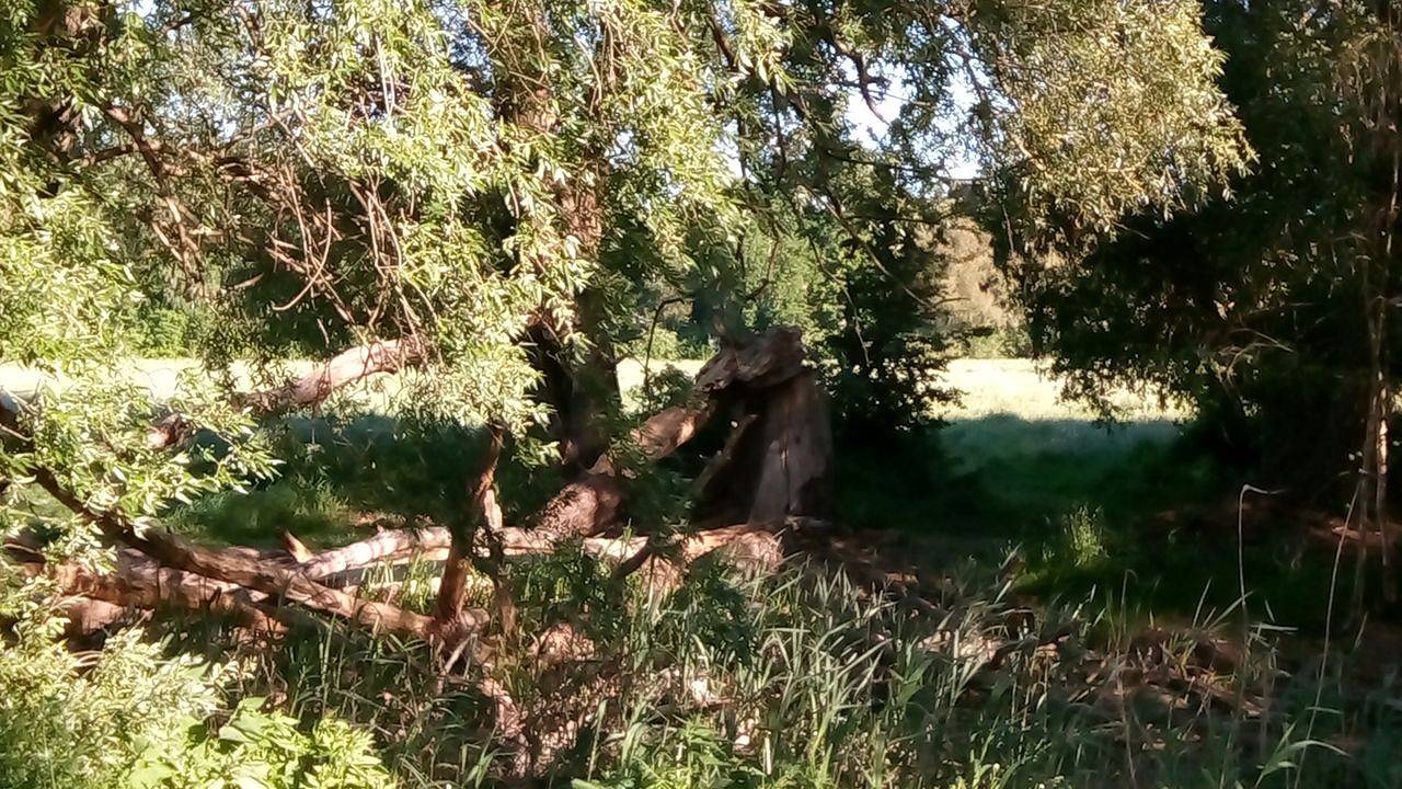 Ganze Ferienwohnung, Ferienwohnung für 2 Personen (60 m²) in Dahlwitz-Hoppegarten in Dahlwitz-Hoppegarten, Hoppegarten