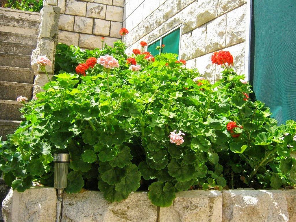 Entire apartment, Apartman s terasom in Dubrovnik, Grad Dubrovnik