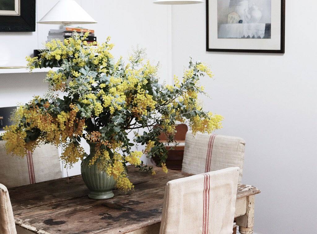 Lotte's Hjem | Ein 150 Jahre altes Häuschen im Herzen von Pambula in New South Wales