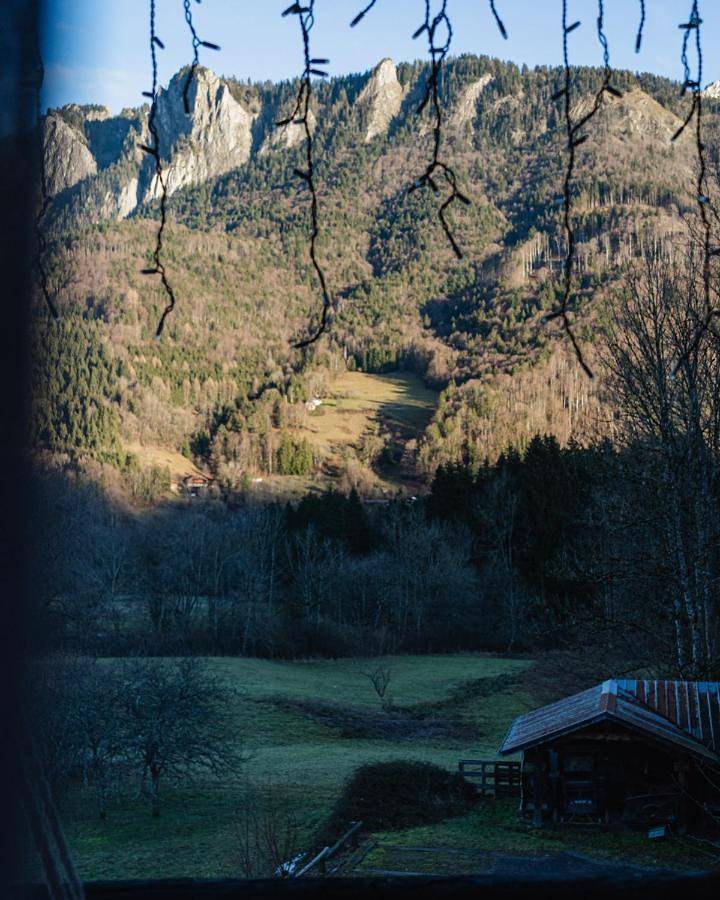 Double Room with Garden View in Vailly, Région de Thonon-les-Bains