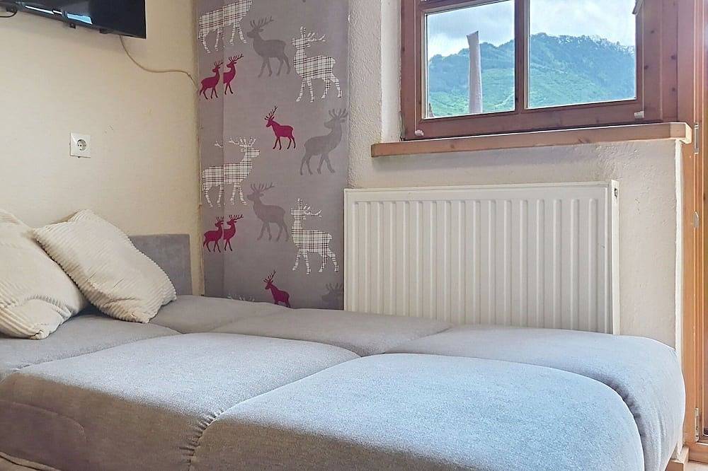 Ganze Wohnung, Schöne Wohnung für 4 Gäste mit  W-Lan, Tv, Terrasse und Haustiere erlaubt in Piesendorf, Pinzgau