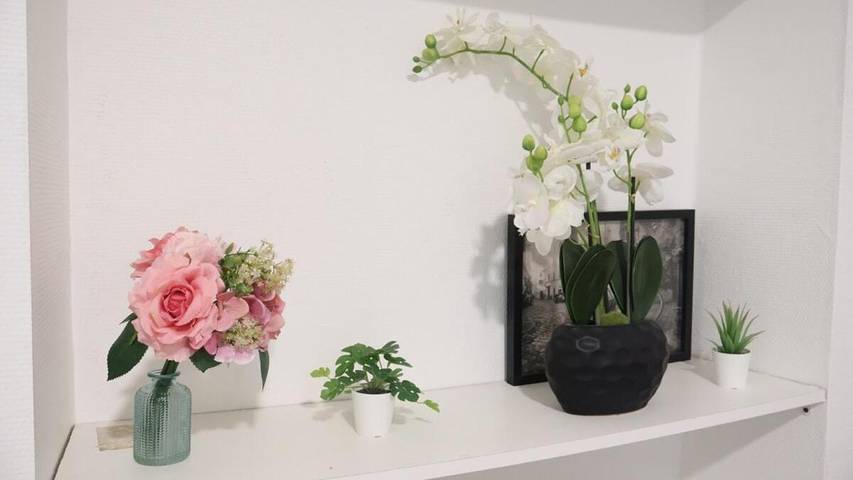 Gîte pour 4 personnes, avec terrasse à Avize - 3