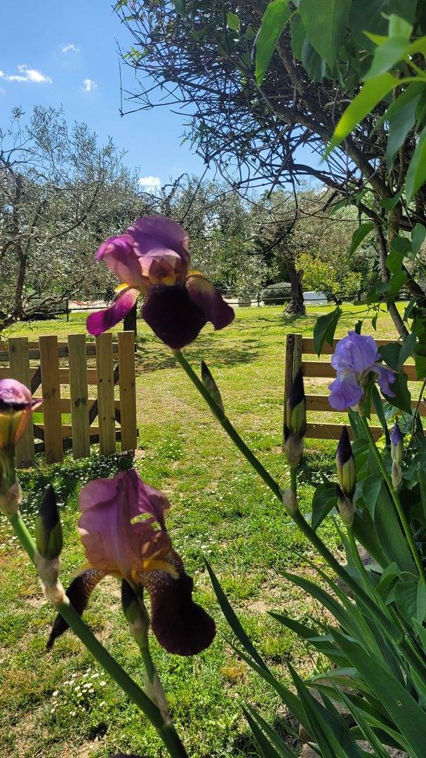 Gîte pour 2 personnes, avec terrasse ainsi que jardin et piscine dans le Gard - 4