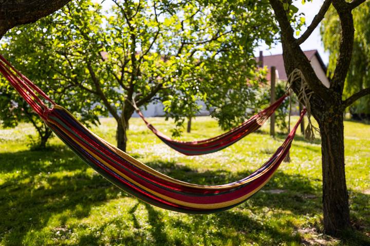 Ferienhaus für 4 Personen, mit Terrasse und Garten sowie Sauna - 1