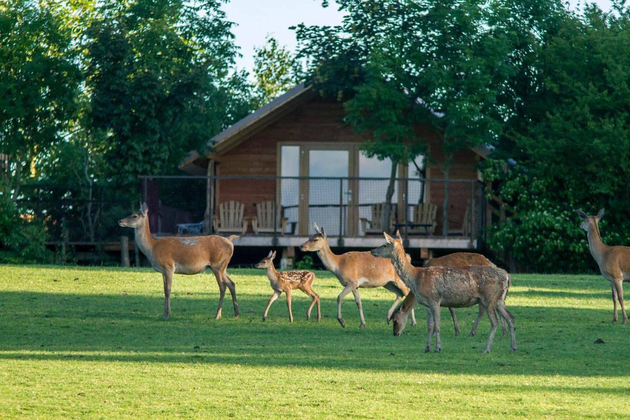 Parc Animalier de Sainte-Croix in Rhodes (Moselle), Sarrebourg