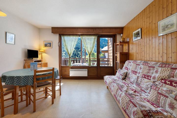Ganze Wohnung, Studio Tournette – Bergblick, Balkon, Skifahren in der Nähe in Saint-Jean-de-Sixt, Annecy und Umgebung